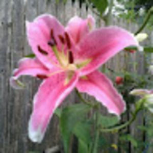 Meet your Posher, Maricela